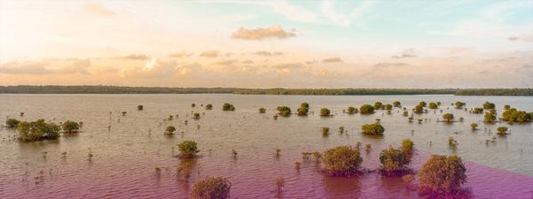 Cleaning up after the Lismore floods: Spotlight on the conveyancing community