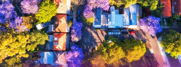 CBA digital property transactions soar