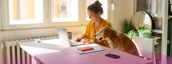 How to make working from home work for you