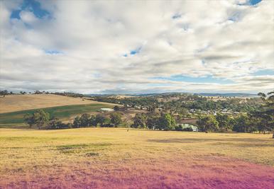 Online game changer: closing South Australia’s country and city gap
