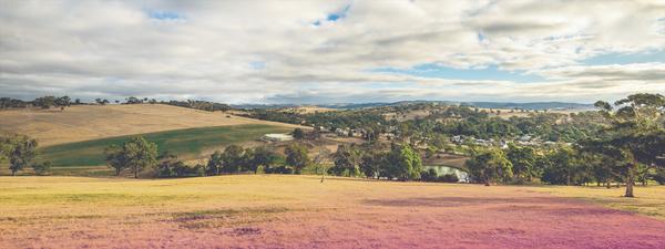 Online game changer: closing South Australia’s country and city gap