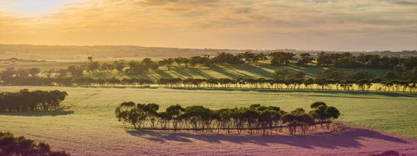 Regional WA firm cracks digital ton with 105 online property transactions