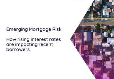 Emerging Mortgage Risk publication title