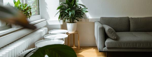 rental vacancy home interiror