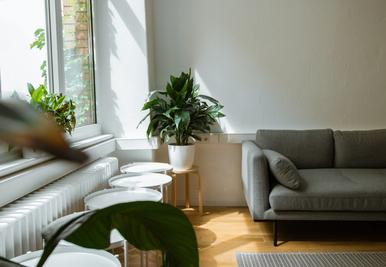 rental vacancy interior of home