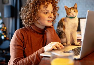 'Tis the season... for cyber fraud
