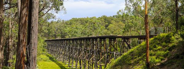 5 Surprising Ways Cash Purchases Could Be Linked to Environmental Risks: Insights from a Gippsland Case Study